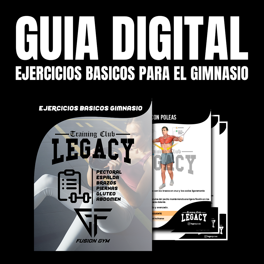 GUIA - EJERCICIOS BASICOS PARA EL GIMNASIO